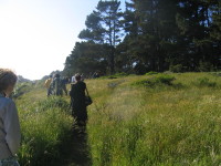 IMG_3453.JPG 
