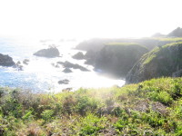 IMG_3460.JPG 