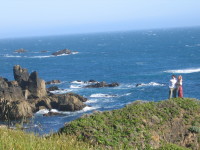 IMG_3484.JPG 