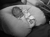 IMG_5809.JPG 