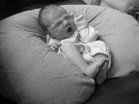 IMG_5811.JPG 