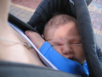 IMG_5995.JPG 