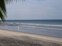 DSC06697.JPG 