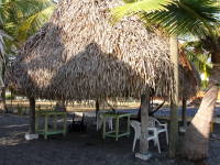 DSC06700.JPG 