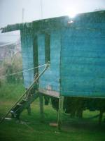100_3444.JPG 