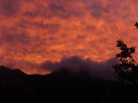 100_3465.JPG 