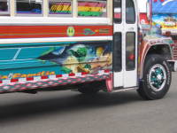 IMG_7270.JPG 