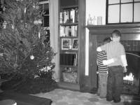IMG_8295.JPG 