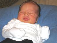 IMG_8243.JPG 