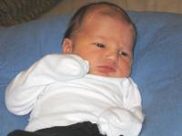 IMG_8245.JPG 