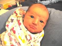 IMG_8274.JPG 