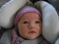 IMG_8283.JPG 