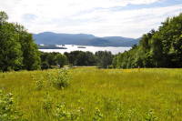 DSC_0166.jpg 