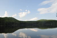 DSC_0321.JPG 