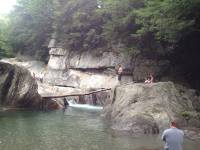IMG_5119.JPG 