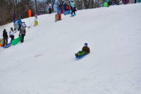 DSC_0048_1.JPG 