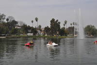 DSC_0124_copy.JPG 