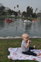 DSC_0129_copy.JPG 